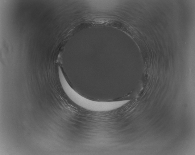 X0000073401394200608181017