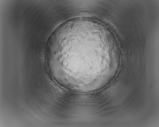 X0000073401409200608181017
