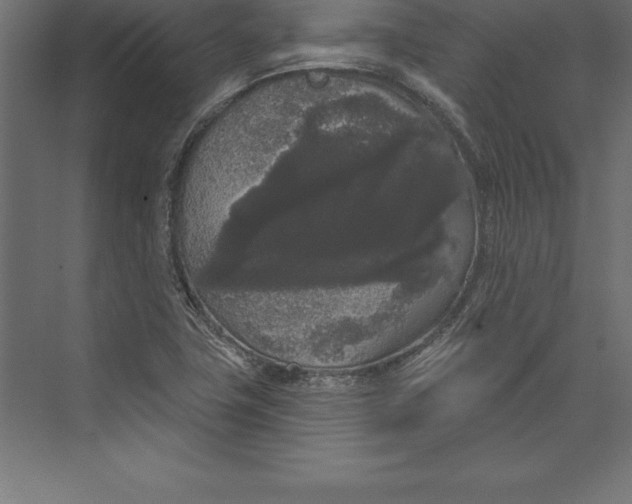 X0000073401411200608181017