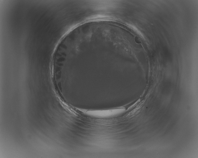 X0000073401413200608181017