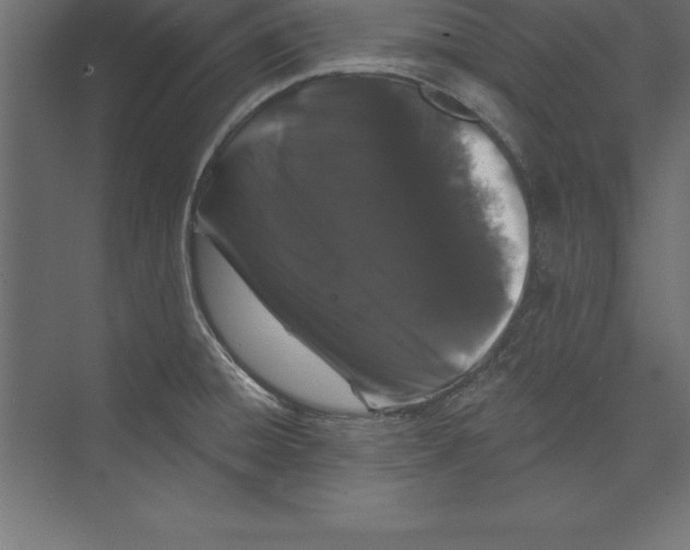 X0000073401428200608181018