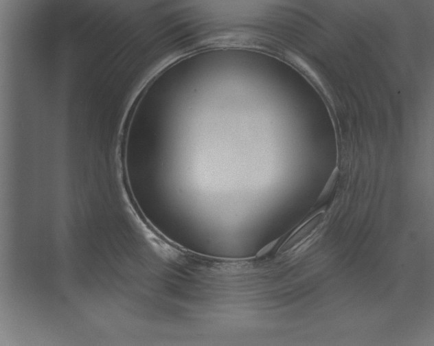 X0000073401434200608181018