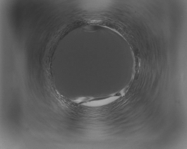 X0000073401441200608181017