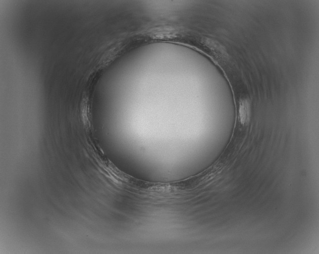 X0000073401444200608181017