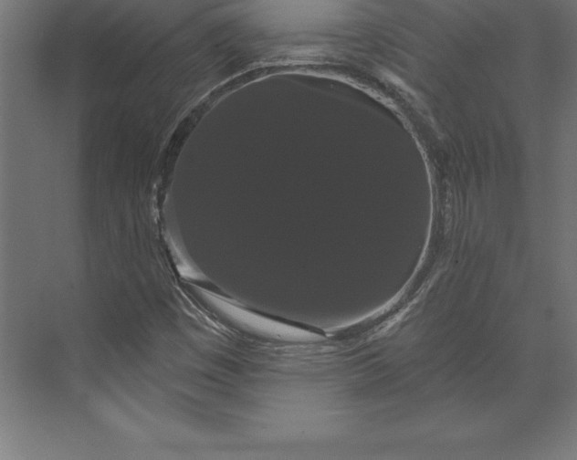 X0000073401449200608181017