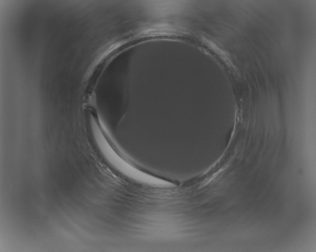 X0000073401453200608181017