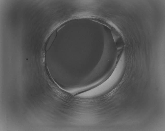 X0000073401461200608181017