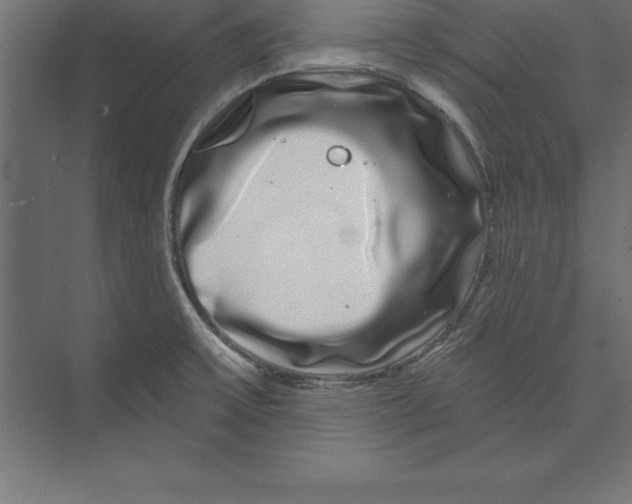X0000073401475200608181016