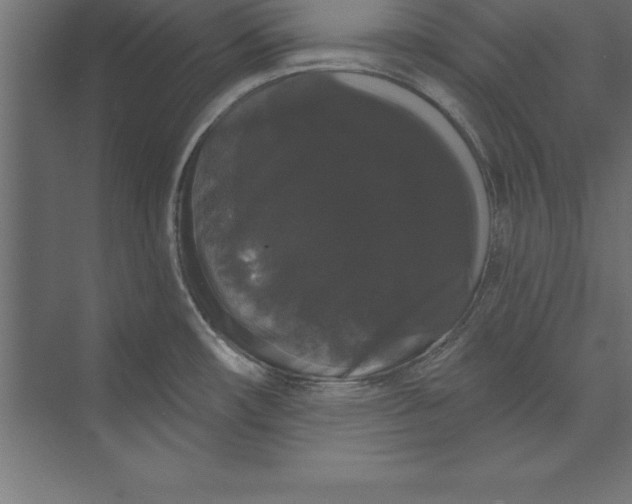 X0000073401482200608181016
