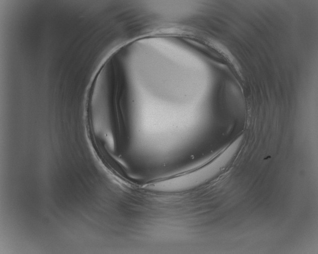 X0000073401483200608181016