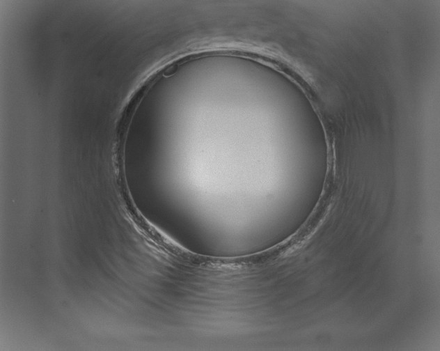 X0000073401501200608181016