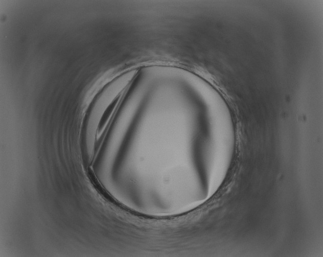 X0000073400007200608251511