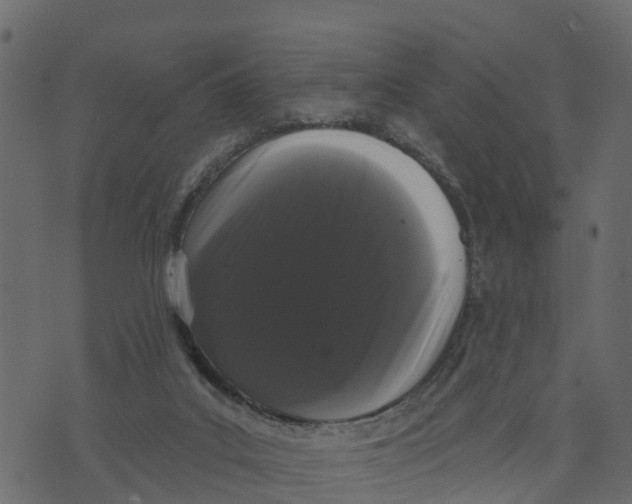 X0000073400019200608251511
