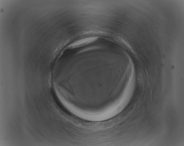X0000073400023200608251511