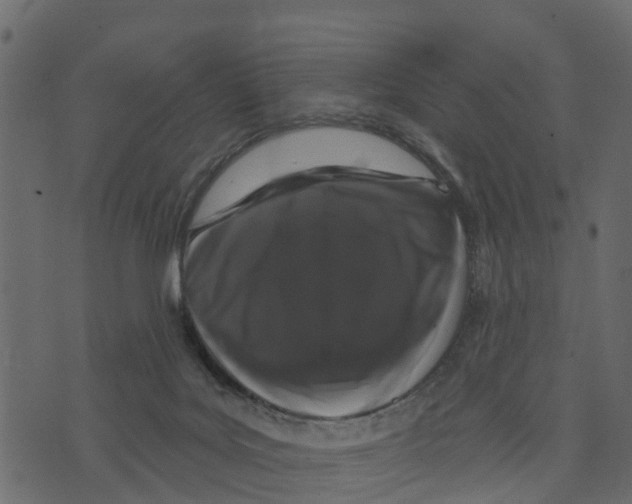 X0000073400027200608251511