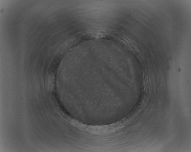 X0000073400030200608251511