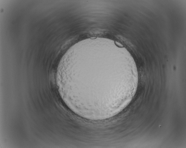 X0000073400042200608251510
