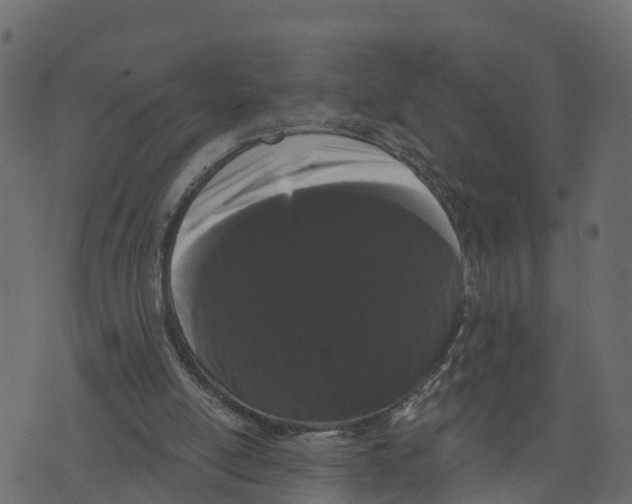 X0000073400054200608251510