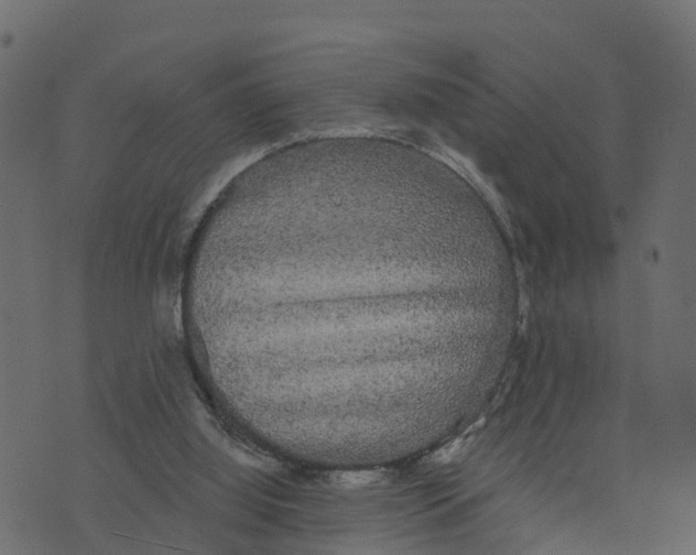 X0000073400060200608251510
