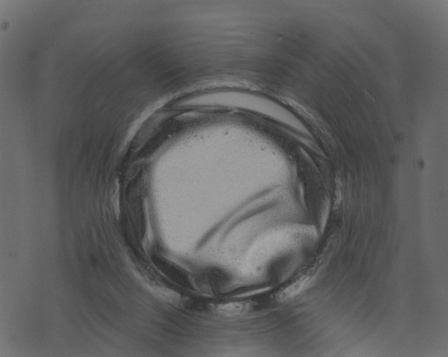 X0000073400064200608251510