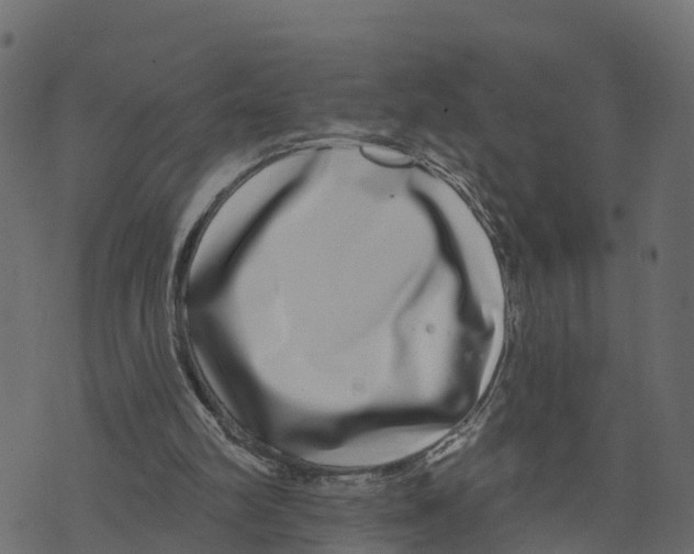 X0000073400102200608251509