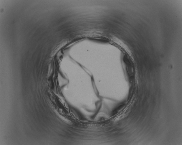 X0000073400105200608251509