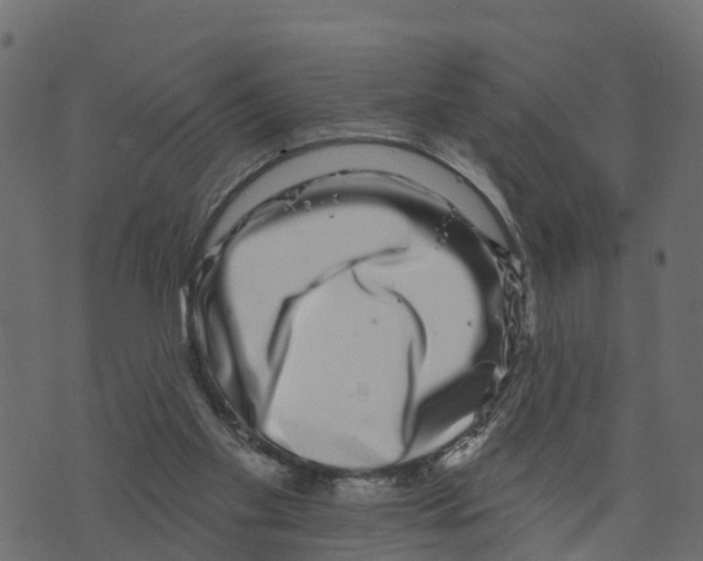 X0000073400109200608251509