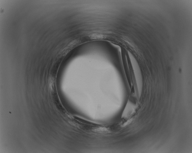 X0000073400125200608251509