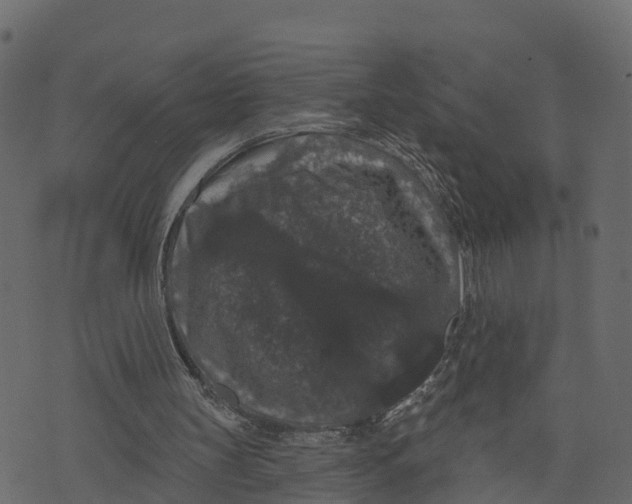 X0000073400147200608251508