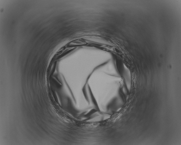 X0000073400148200608251508