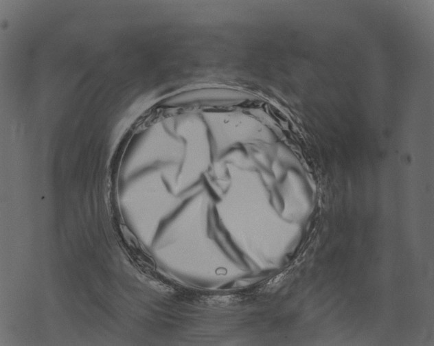 X0000073400152200608251508