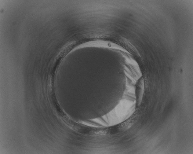 X0000073400163200608251508