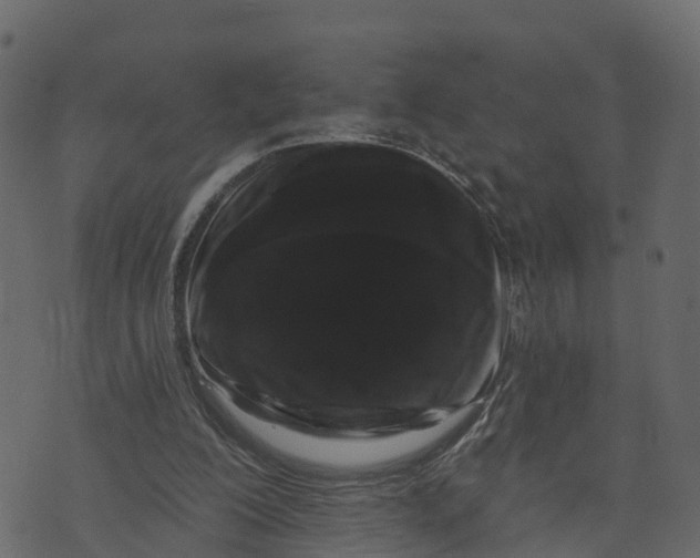 X0000073400200200608251508