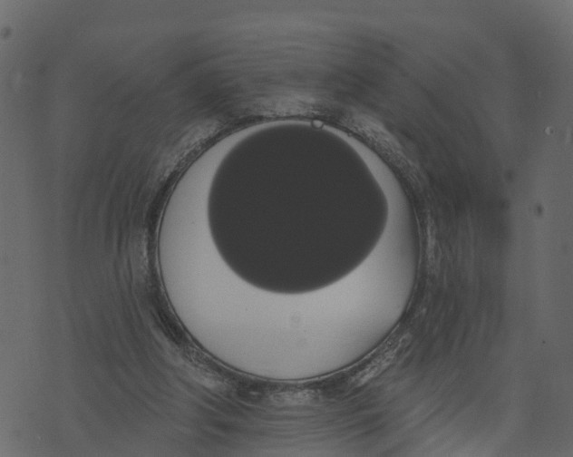 X0000073400202200608251508