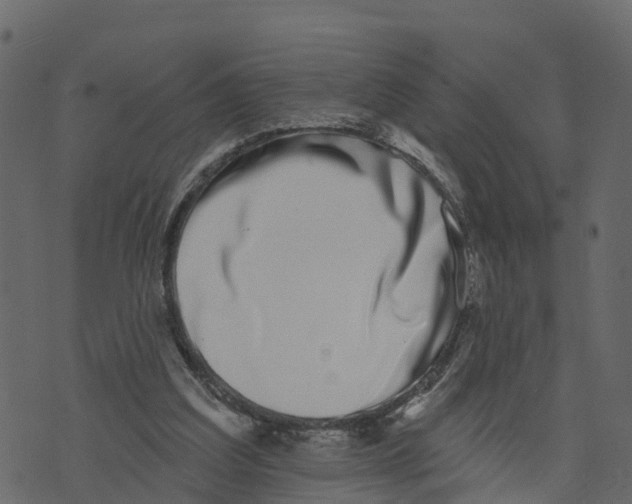 X0000073400203200608251508