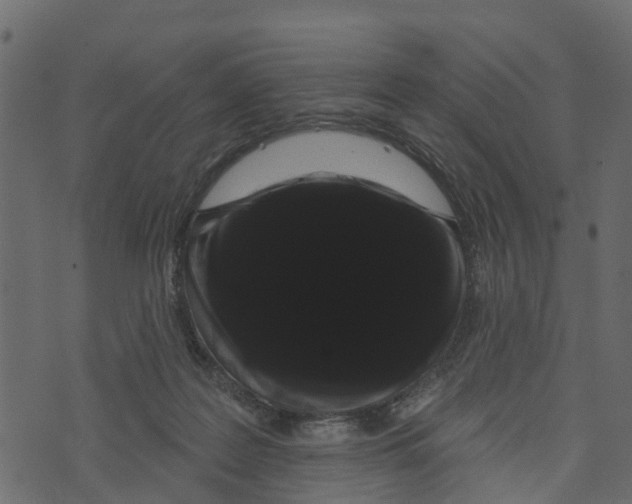 X0000073400219200608251507