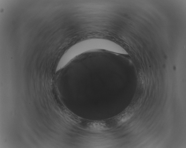 X0000073400223200608251507