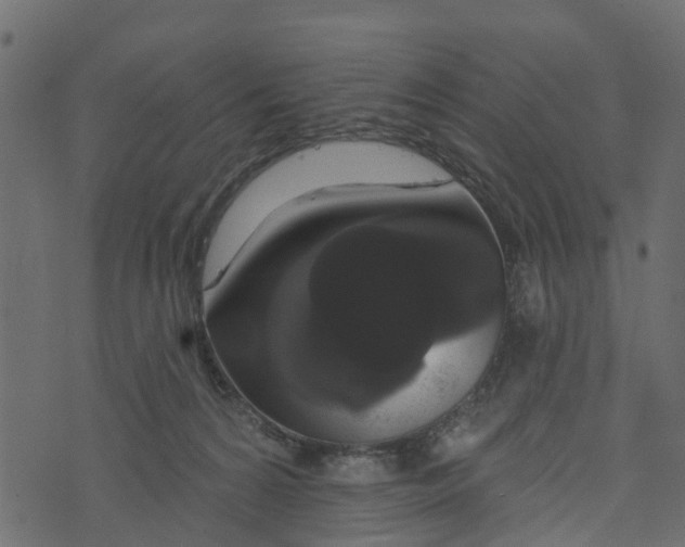 X0000073400224200608251507