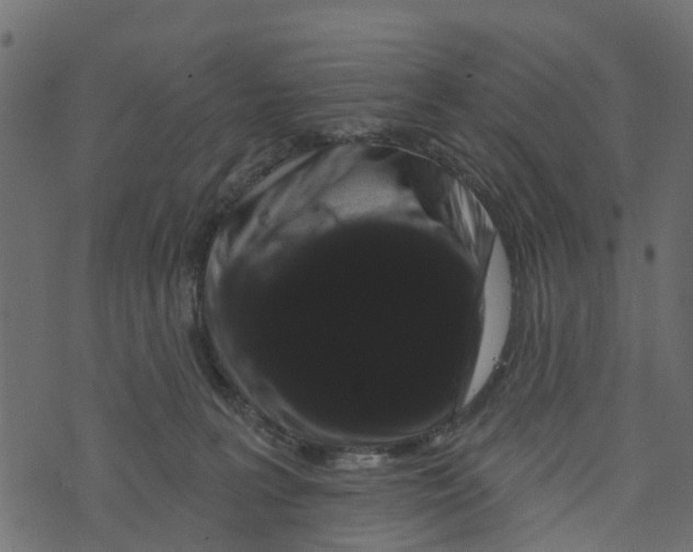 X0000073400227200608251507