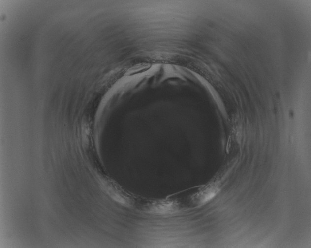 X0000073400235200608251507