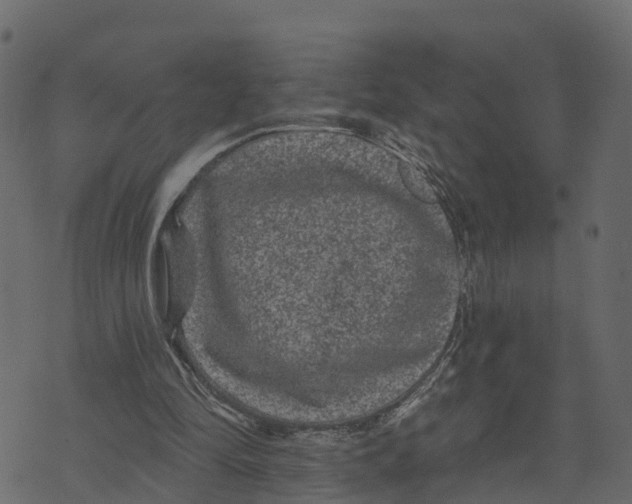 X0000073400294200608251506