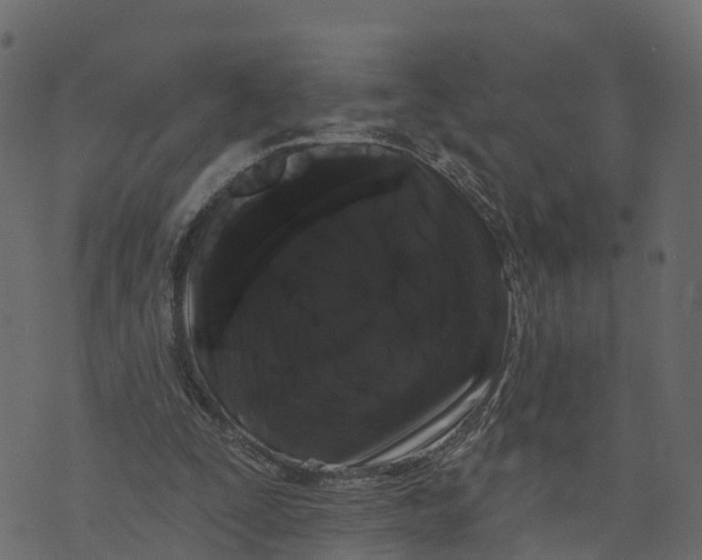X0000073400295200608251506