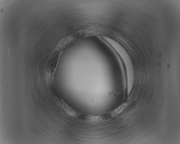 X0000073400333200608251506