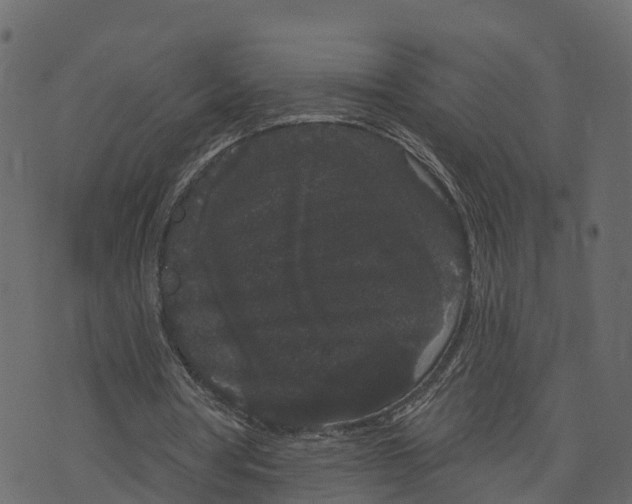 X0000073400386200608251505