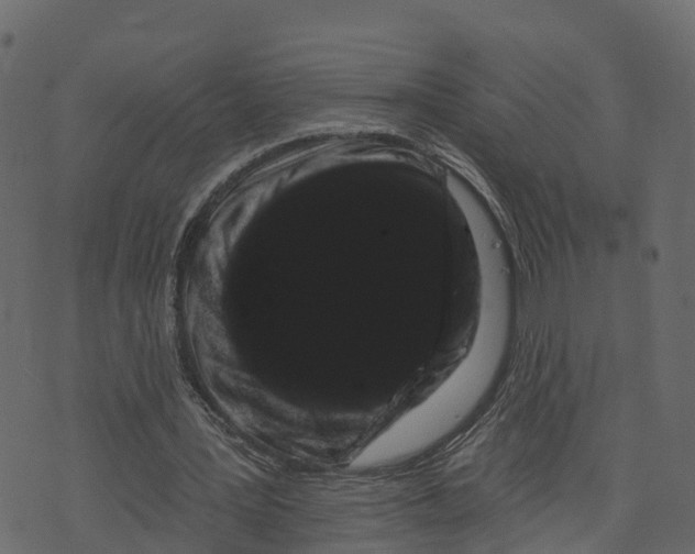 X0000073400387200608251505