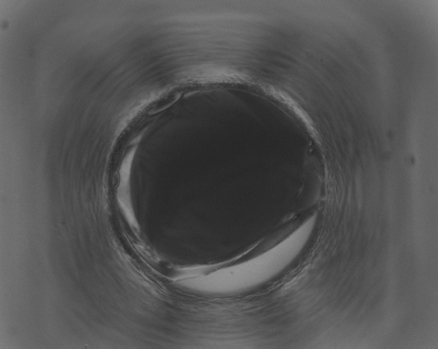 X0000073400391200608251505