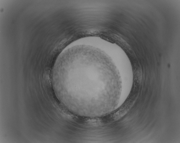 X0000073400415200608251504