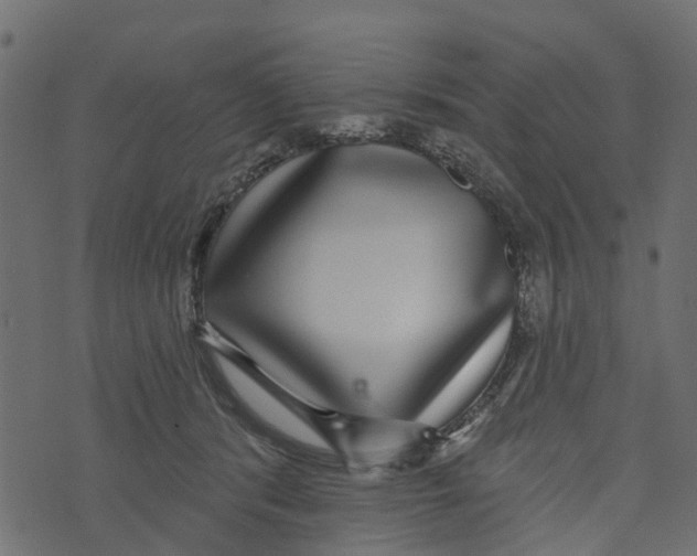 X0000073400416200608251504