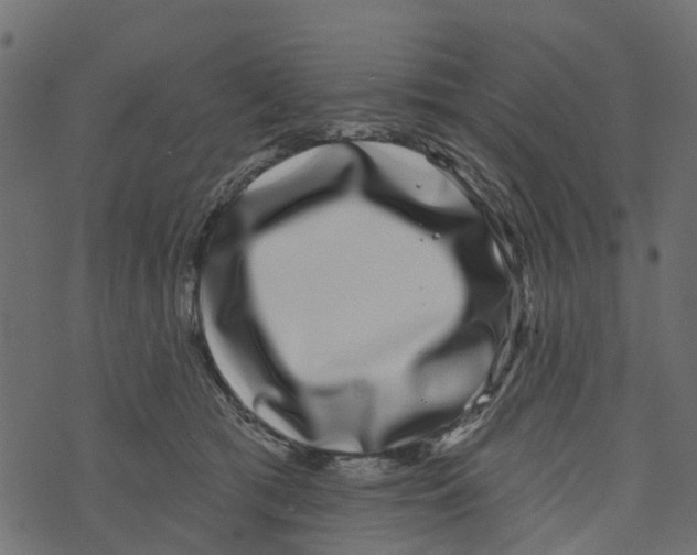X0000073400417200608251504