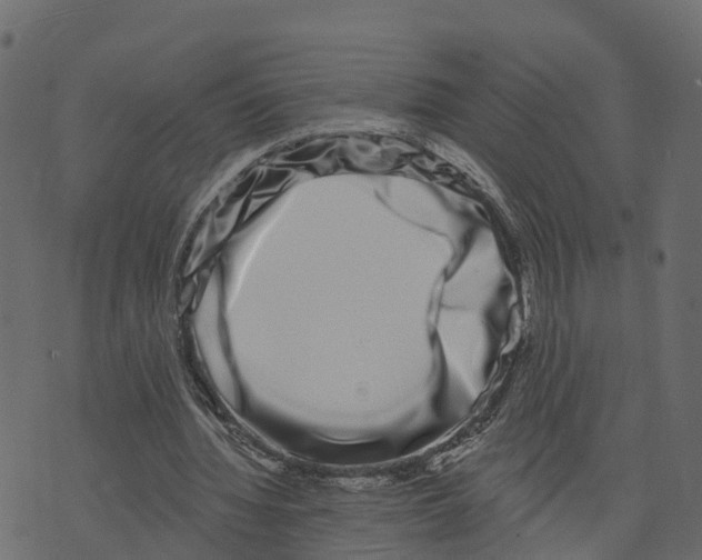 X0000073400436200608251503